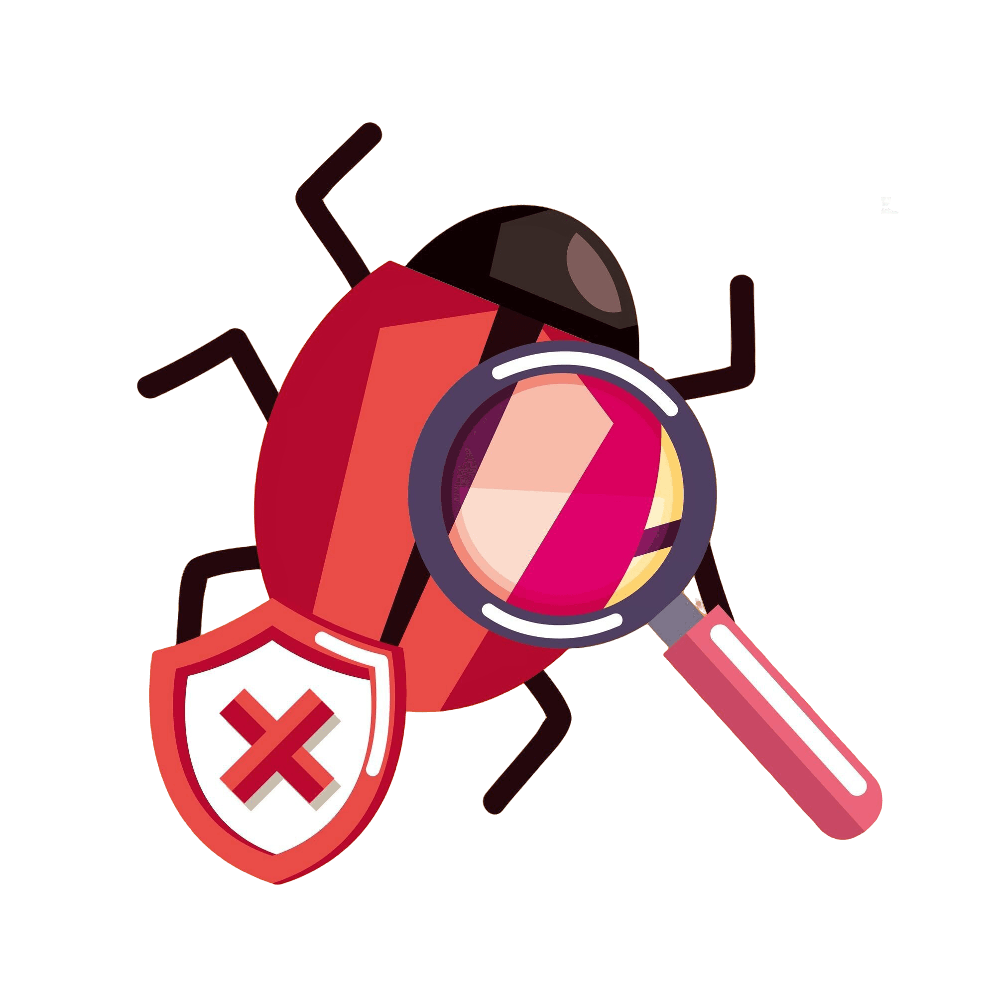 Software Testing(Automation & Manual)